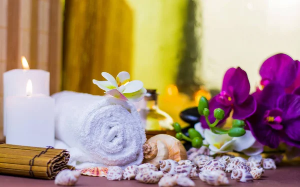 Spa Concept görüntü deniz kabuğu ve orkide çiçekleri