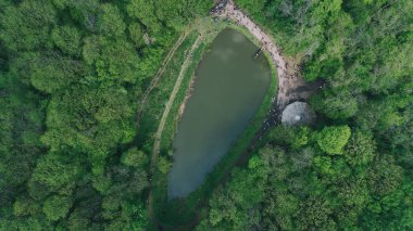 Havadan görünümü göl ormanın içinde. Hava fotoğrafçılığı yeşil ağaçlar. Doğa. Manzara. Seyahat eder. Ukrayna. Bahar.