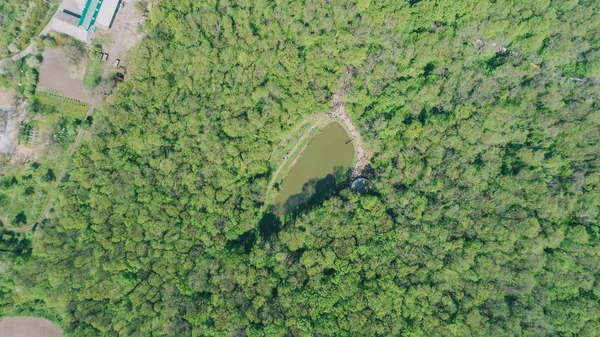 森の中の湖の眺め 緑の木々 の空撮 風景です ウクライナ — ストック写真