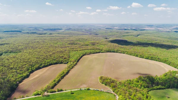 Orman alanının havadan görünümü. Hava fotoğrafçılığı. Doğa. Manzara. Seyahat eder. Ukrayna. Bahar.