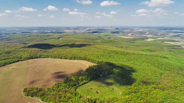 Orman alanının havadan görünümü. Hava fotoğrafçılığı. Doğa. Manzara. Seyahat eder. Ukrayna. Bahar.