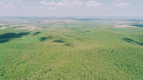 Aerial view of the forest. Aerial photography of green trees. Nature. Landscape. Travels. Ukraine. Spring.