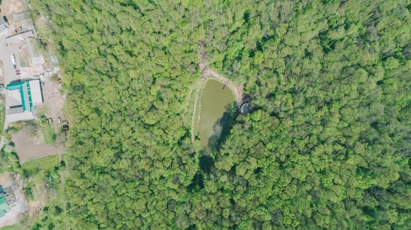 Havadan görünümü göl ormanın içinde. Hava fotoğrafçılığı yeşil ağaçlar. Doğa. Manzara. Seyahat eder. Ukrayna. Bahar.