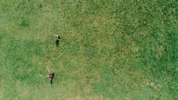 Vista Aérea Gente Campo Fotografía Aérea Los Niños Juegan Naturaleza —  Fotos de Stock