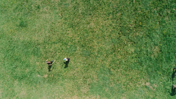 Вид Воздуха Людей Поле Аэрофотосъемка Дети Играют Игры Природа Пейзаж — стоковое фото