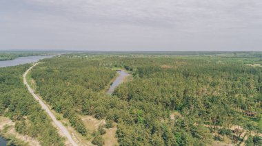 Havadan görünümü orman. Ağaçlar. Gökyüzü. Bulutlar. Eğlence merkezi. Göl. Seyahat eder. Ukrayna.
