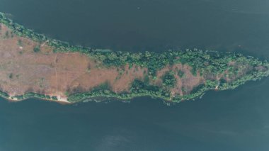 Havadan görünümü adanın. Nehir. Ağaçlar. Seyahatler.