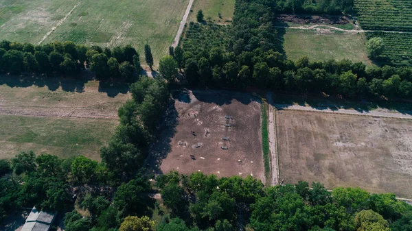 Vista Aérea Del Campo Árboles Verdes Verano Día Kiev Ucrania — Foto de Stock