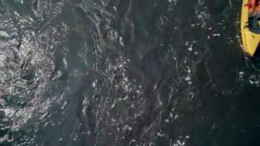 Nehrin Ros. 14 Nisan 2018. Deshki. Ukrayna. İnsanlar kayaklar içinde yüzmek. Havadan görünümü.