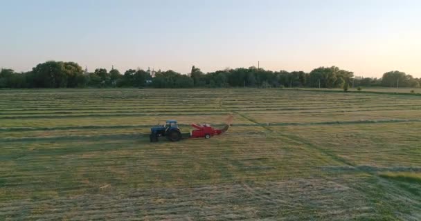 Vista Aérea Del Tractor Campo Hay Hierba Buenas Tardes Puesta — Vídeo de stock