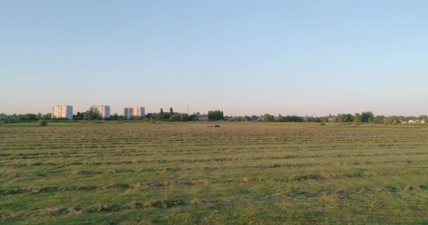 Vista Aérea Del Tractor Campo Hay Hierba Buenas Tardes Puesta — Vídeos de Stock