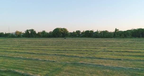 Vue Aérienne Tracteur Sur Terrain Foin Herbe Bonsoir Coucher Soleil — Video