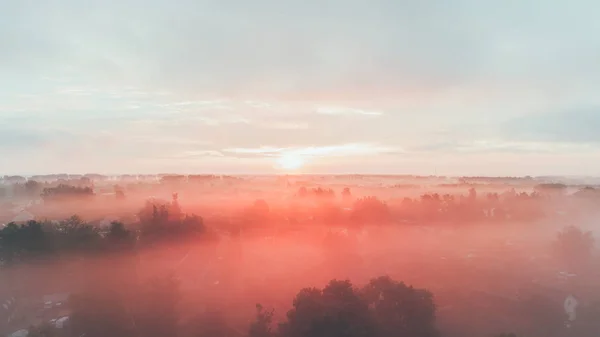 Luftaufnahme Bei Sonnenaufgang Himmel Wald Bäume Sommer Natur Ukraine — Stockfoto