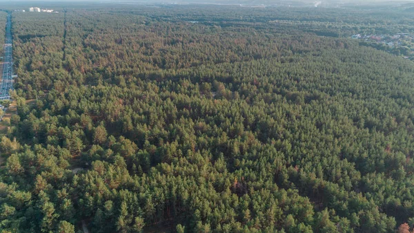 Vista Aérea Floresta Árvores Kiev Kiev Ucrânia — Fotografia de Stock