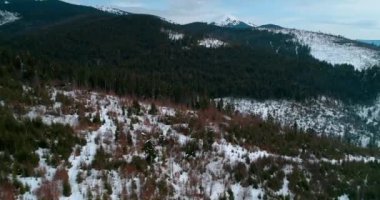 Dağlarda ormanın havadan görünümü. Yeşil ağaçlar. Kar. Kış. Gri gökyüzü. Bukovel. Ukrayna.
