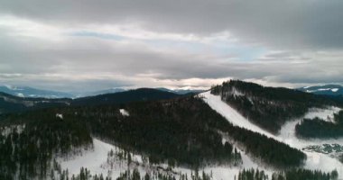 Dağlarda ormanın havadan görünümü. Yeşil ağaçlar. Kar. Kış. Gri gökyüzü. Bukovel. Ukrayna.
