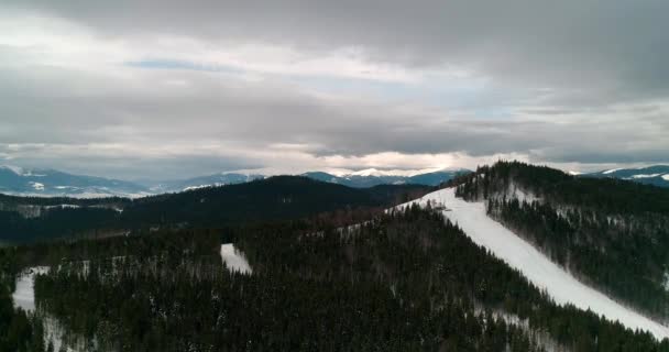 Flygfoto Över Skogen Bergen Gröna Träd Snö Vintern Grå Himmel — Stockvideo