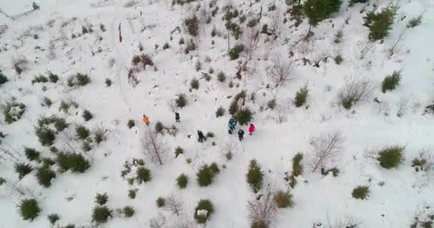 Los Jóvenes Bajan Montaña Vista Aérea Árboles Nieve Invierno Bukovel — Vídeo de stock