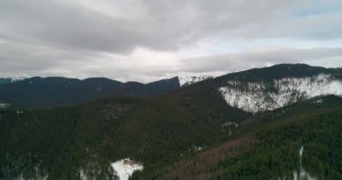 Dağlarda ormanın havadan görünümü. Yeşil ağaçlar. Kar. Kış. Gri gökyüzü. Bukovel. Ukrayna.