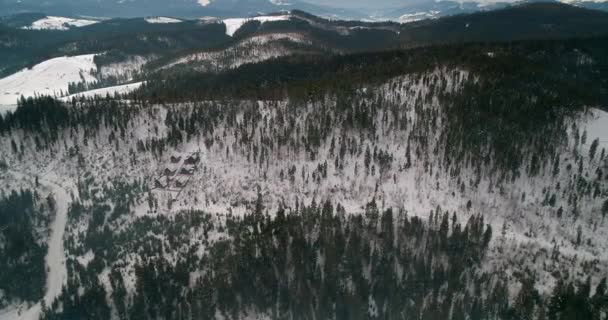 Dağlarda Ormanın Havadan Görünümü Yeşil Ağaçlar Kar Kış Gri Gökyüzü — Stok video