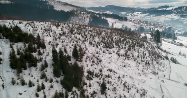 Flygfoto Över Skogen Bergen Gröna Träd Snö Vintern Grå Himmel — Stockvideo