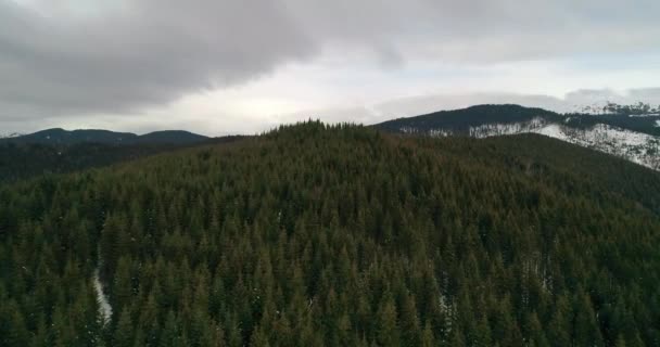 Luchtfoto Van Het Bos Bergen Groene Bomen Sneeuw Winter Grijze — Stockvideo