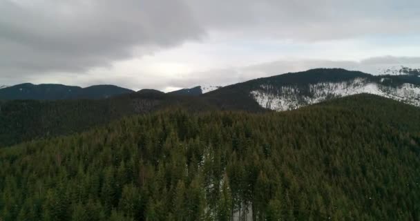 Aerial View Forest Mountains Green Trees Snow Winter Grey Sky — Stock Video
