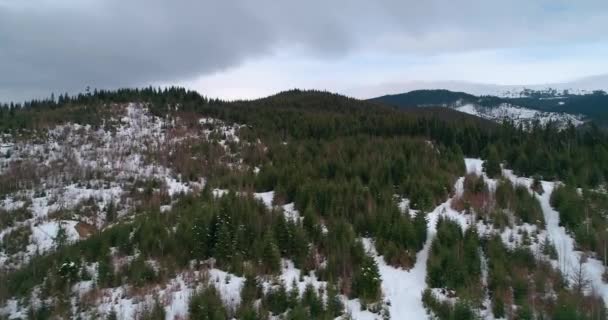 Letecký Pohled Les Horách Zelené Stromy Sníh Zima Šedá Obloha — Stock video