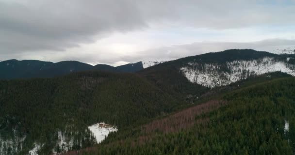 Luchtfoto Van Het Bos Bergen Groene Bomen Sneeuw Winter Grijze — Stockvideo