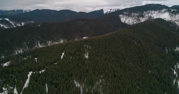 Widok Lotu Ptaka Lesie Górach Zielonych Drzew Śnieg Zimą Szare — Wideo stockowe