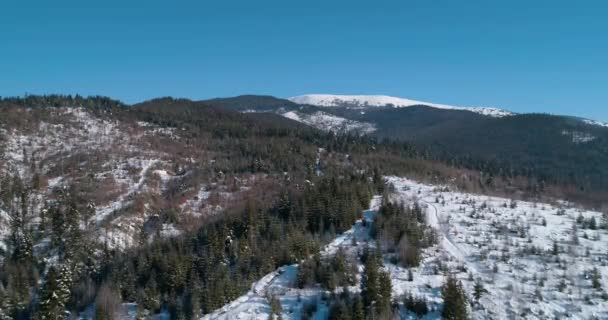 Havadan Görünümü Dağları Nın Karpatlar Orman Ağaçlar Kar Kış Bukovel — Stok video