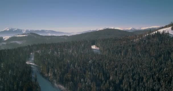 Flygfoto Över Bergen Karpaterna Blå Himmel Vintern Snö Bukovel Ukraina — Stockvideo