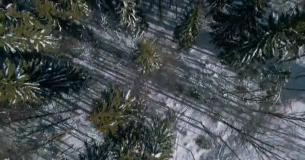 Dağlarda Kış Orman Ağaçlar Köyü Bina Havadan Görünümü Karpatlar Bukovel — Stok video