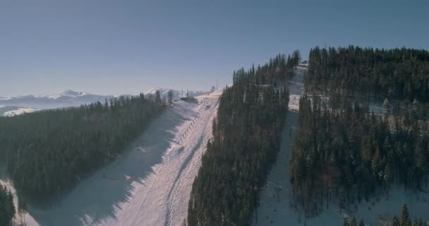 Veduta Aerea Delle Montagne Carpazi Foresta Alberi Neve Inverno Bukovel — Video Stock