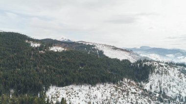Havadan görünümü Dağları nın. Bukovel. Karpatlar. Kar. Kış. Orman. Ağaçlar. Gün.