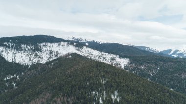 Havadan görünümü Dağları nın. Bukovel. Karpatlar. Kar. Kış. Orman. Ağaçlar. Gün.