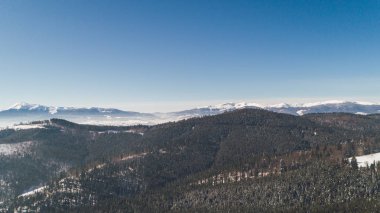 Havadan görünümü Dağları nın. Bukovel. Karpatlar. Kar. Kış. Orman. Ağaçlar. Gün.