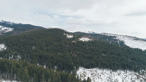 Vista Aérea Das Montanhas Bukovel Cárpatos Neve Inverno Floresta Árvores — Fotografia de Stock