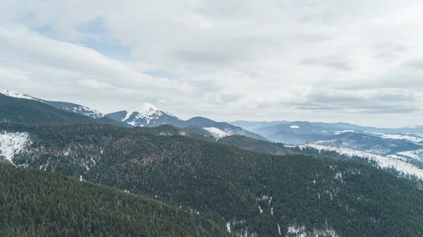 Vista Aérea Das Montanhas Bukovel Cárpatos Neve Inverno Floresta Árvores — Fotografia de Stock
