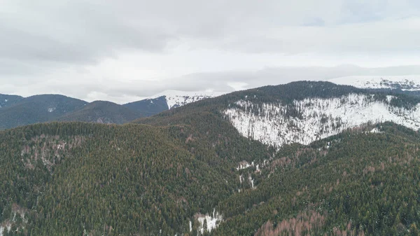Letecký Pohled Hory Bukovel Karpaty Sníh Zima Les Stromy Den — Stock fotografie