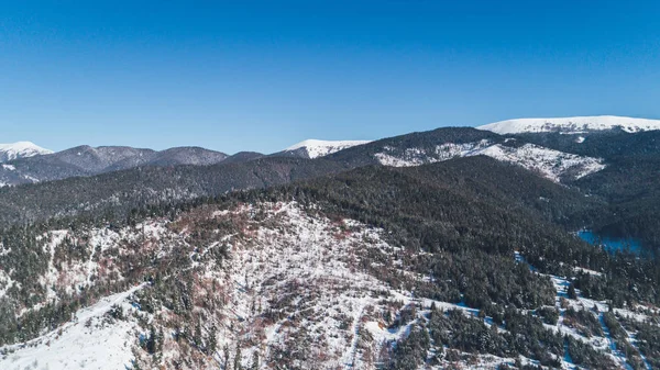 Vista Aérea Das Montanhas Bukovel Cárpatos Neve Inverno Floresta Árvores — Fotografia de Stock