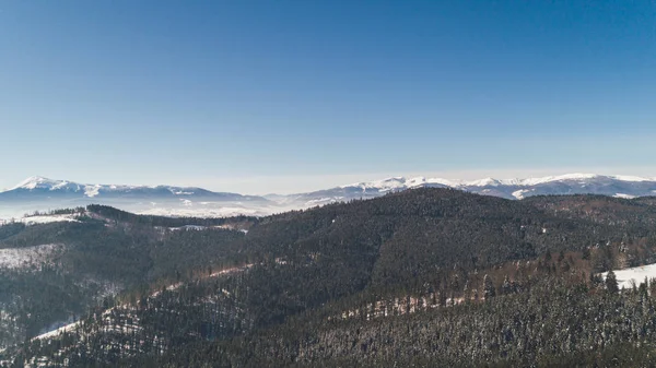 Vista Aérea Das Montanhas Bukovel Cárpatos Neve Inverno Floresta Árvores — Fotografia de Stock