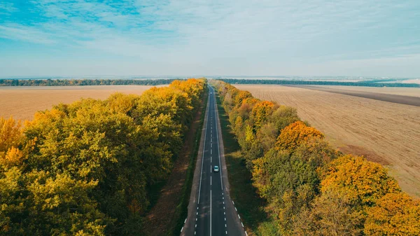 Ukrayna'da yeni yolun havadan görünümü. Sonbahar. Yol işaretleme.