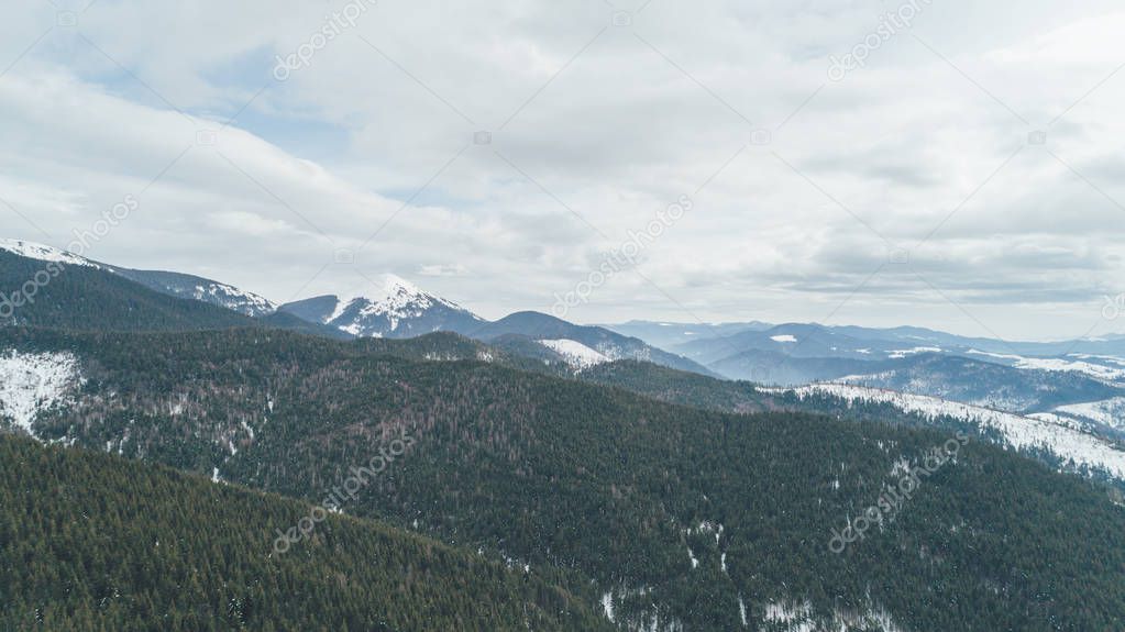 Aerial view of the mountains. Bukovel. Carpathians. Snow. Winter. Forest. Trees. Day.