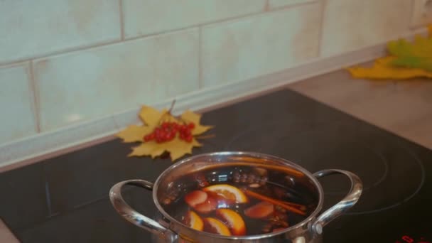 Cocinar Vino Caliente Casa Ingredientes Para Vino Caliente Navidad Invierno — Vídeos de Stock