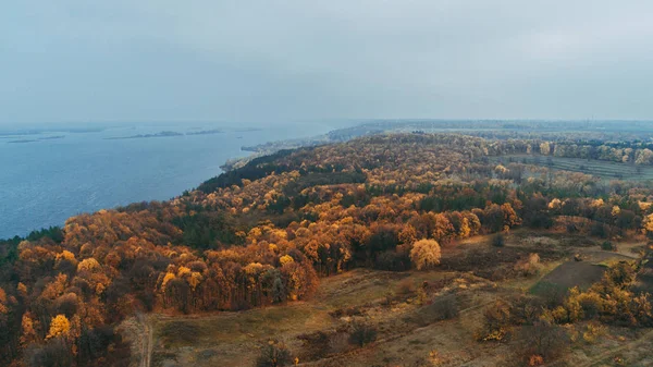 Widok Lotu Ptaka Lasu Żółte Drzewa Jesienią Dniepr — Zdjęcie stockowe