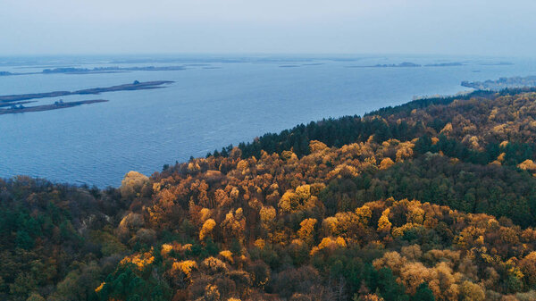 Aerial view of the forest. Yellow trees. Autumn. Dnieper River.