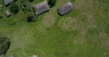 Atlar, bir grup hava üstten görünüm atları otlatma alanı, yeşil çimen, yaz. Kuş bakışı. Halk Ulusal Müzesi mimari ve yaşam Ukrayna, Pirogovo. 4 k dron görüntüleri. Eski evleri