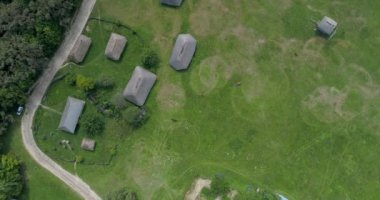 Atlar, bir grup hava üstten görünüm atları otlatma alanı, yeşil çimen, yaz. Kuş bakışı. Halk Ulusal Müzesi mimari ve yaşam Ukrayna, Pirogovo. 4 k dron görüntüleri. Eski evleri