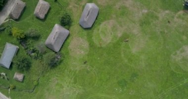 Atlar, bir grup hava üstten görünüm atları otlatma alanı, yeşil çimen, yaz. Kuş bakışı. Halk Ulusal Müzesi mimari ve yaşam Ukrayna, Pirogovo. 4 k dron görüntüleri. Eski evleri